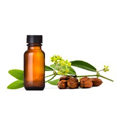 Jojoba Golden Oil