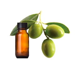 Olive Oil Pure – Arizona Soap Supply