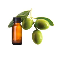 Olive Oil Pure