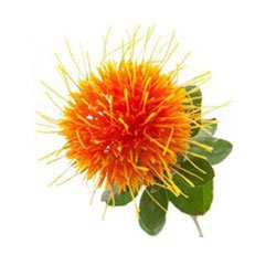 Safflower Oil