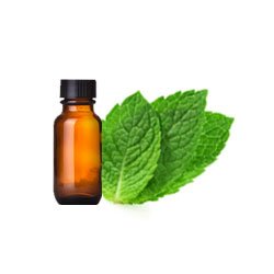 Spearmint Essential Oil